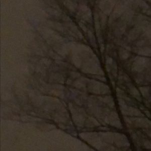 Meet your Posher, Lily